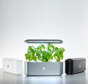 AVA BYTE Nachhaltiger Indoor-Gartenprototyp